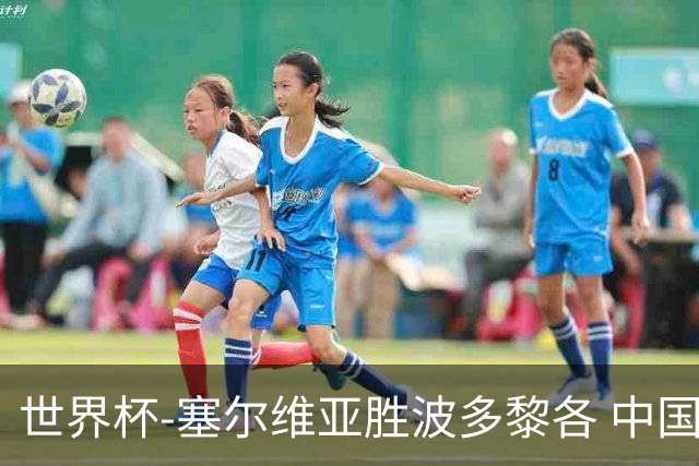 世界杯-塞尔维亚胜波多黎各 中国仍存出线可能